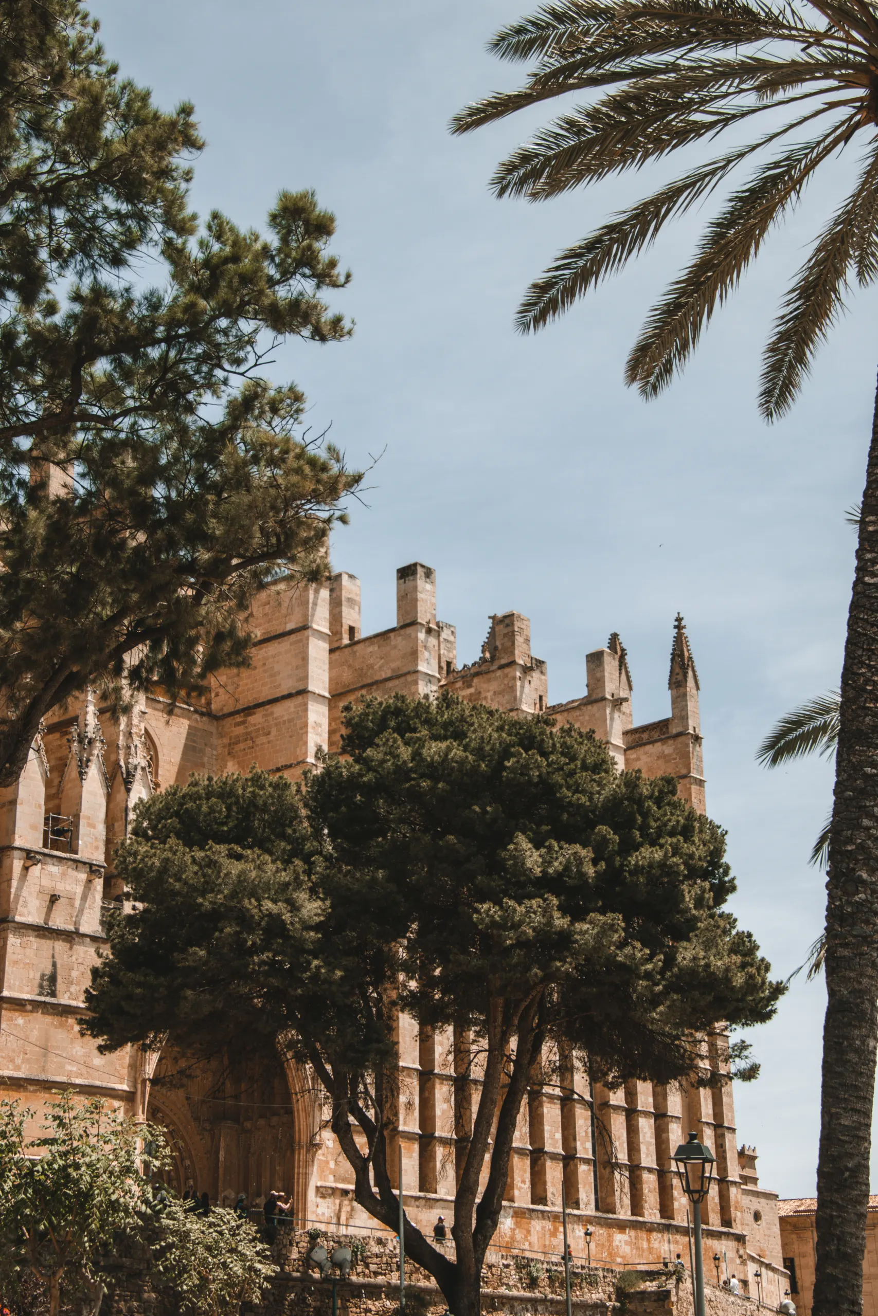 Palma de Mallorca cathedral