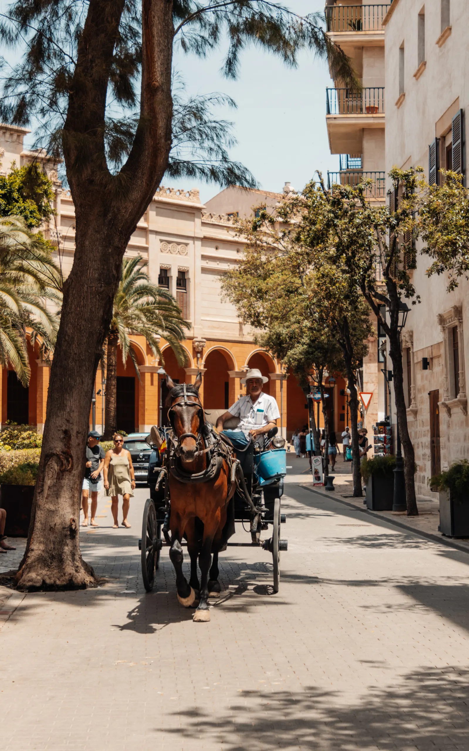 Palma de Mallorca horse coach things to do in mallorca